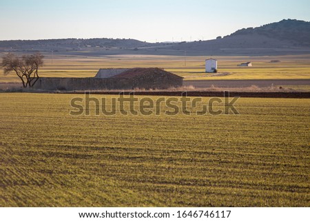 Similar – Foto Bild Landschaft mit vielen Kranichen auf dem Feld und in der Luft