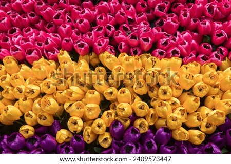 Many fake Tulip. plastic colorful pink, yellow, and purple flowers by top view