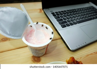 Many Flies Or House Fly Are Swarm On Yogurt And Food On The Desk, Flies Are Carriers Of Various Pathogens.