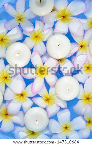 Many frangipani with four candle in the water