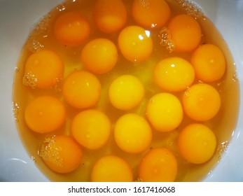 Many Fresh Eggs From The Fram