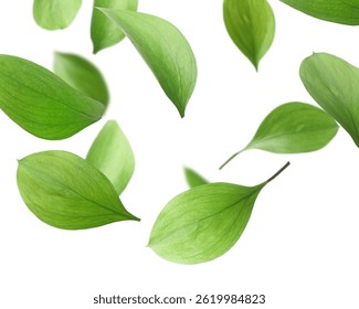 Many fresh green leaves flying on white background