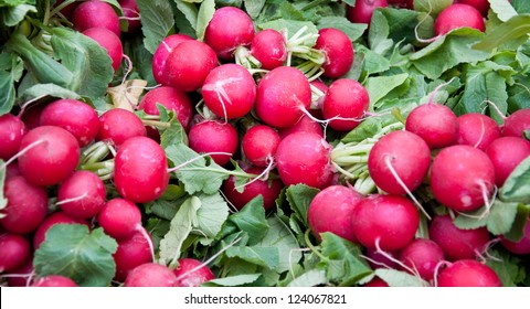 Many fresh radishes on weekly market.