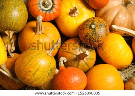 Similar – Image, Stock Photo Pumpkins Food Vegetable