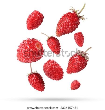 Many fresh ripe wild strawberries falling on white background