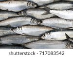 Many freshly caught Atlantic herrings on cutting board