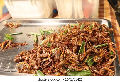 Many Fried Locust Are Located In The Tray.