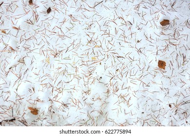 Many Frozen Old Pine Needles And Small Leaves Lay On A Snowy Walk Road.