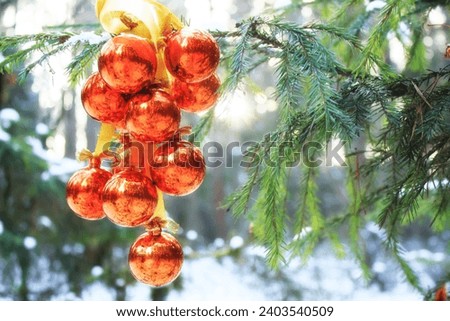 Many golden glass balls on a spruce branch in the forest, beautiful backlight, holiday card with space for text, New Year wallpaper, bokeh, pine needles, shining balls, sunny winter day, festive mood