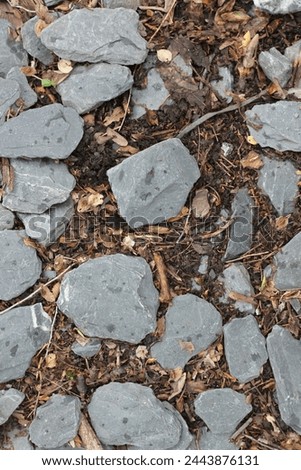 Many gray shale rocks in a random pattern on the ground.