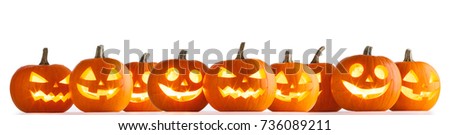 Many Halloween Pumpkins in a row isolated on white background