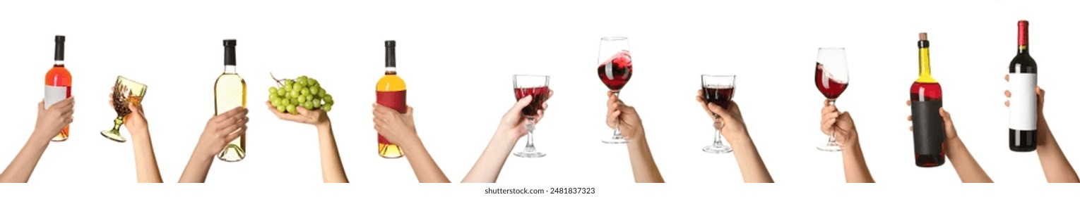 Many hands holding bottles and glasses of wine on white background - Powered by Shutterstock