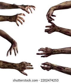 Many hands of scary zombies isolated on white  - Shutterstock ID 2202474253