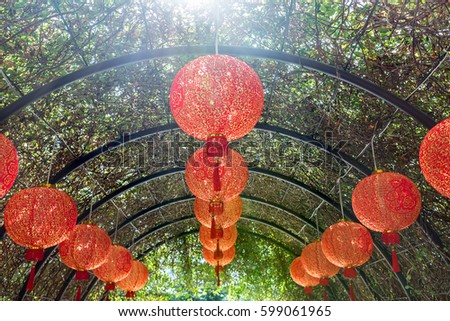 Many hanging asian red lanterns on the arch trellis with green creeper plants. Sunlight shines from above on them. It is the Cloud Forest in Singapore. Horizontal.