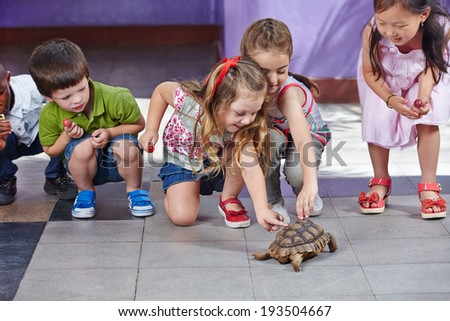 Many happy children petting a turtle in a kindergarten playground