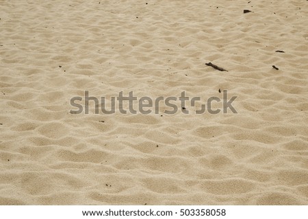 Many holes after footprints in the beach sand background 

