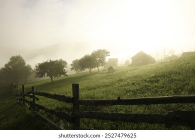 Many houses and beautiful trees covered with fog in morning - Powered by Shutterstock