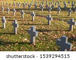 many identical gray crosses in polish military cemetery. autumn and sunset of life. struggle for congregation and independence of the motherland