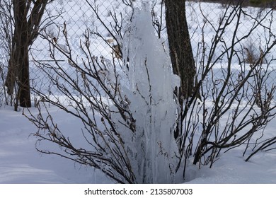 5,595 Ice hanging on plant Images, Stock Photos & Vectors | Shutterstock