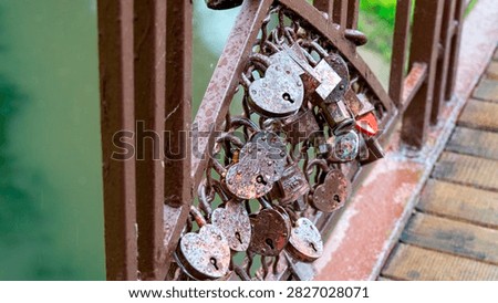 Many locks are fixed to a bridge railing in a park. The bridge is close to water and surrounded by green trees. The scene is set on a cloudy day with a damp look.