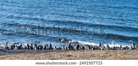 Similar – Image, Stock Photo Edges meet in many corners