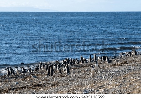 Image, Stock Photo Edges meet in many corners