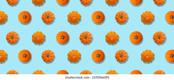 54,892 Blue And Orange Pumpkins Images, Stock Photos & Vectors