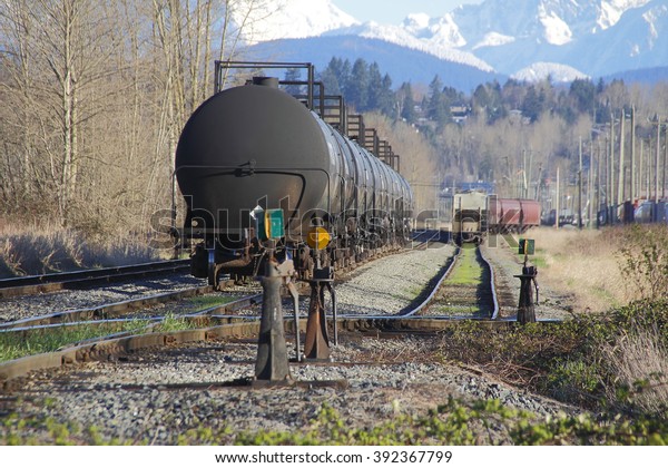 Many rail cars,\
some carrying bulk fuel, are ready to be transported/Bulk Fuel and\
Railyard/Many rail cars, some carrying bulk fuel, are ready to be\
transported. 