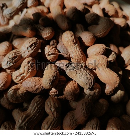 Similar – Dried poppy seed capsules on an old metal plate