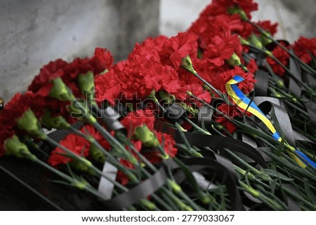 many red flowers of memory