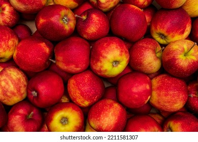 Many Of Red Yellow Apples In Full Frame. Bright Summer Food Fruit Background.