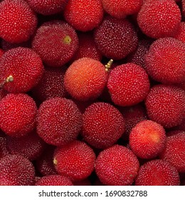 Many ripe Japanese bayberry (Yamamomo) closeup macro background