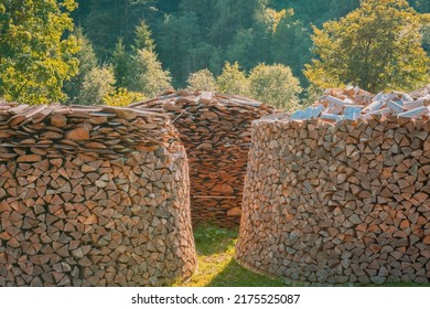 Many round heaps of woodpile on a green meadow in the wood. Background. Brown. Dry. Forest. Fire. Group. Ecology. Fireplace. Firing. Method. Home. Trunk. Country. Drying