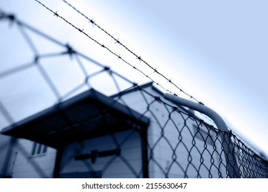Many Rows Of Barbedwire, Blurred Wire Mesh, Barbed Wire Fence On Top, Building For Execution Of Punishments For Criminals, Concept Prison, Security Zone, Symbol Of Bondage, Hopelessness Of Captivity