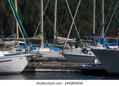 Many Sailboats In A Marina