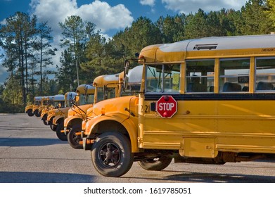 Many School Buses Lined Up In A Parking Lot