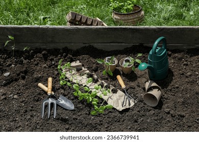 Many seedlings and different gardening tools on ground outdoors - Shutterstock ID 2366739941