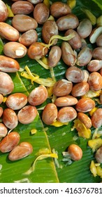 Many  seeds of jackfruit on banana leaves.