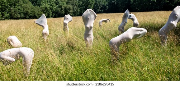 Many Sexy Young Women, Same Woman, Nude In A Big Transparent Stocking Dress Fabric Cloth, Standing As Modern Sculptures In The Summer Grass Meadow, Copy Space