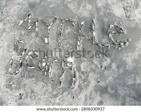 So many shells and shell fragments to be found on Myrtle Beach that I took a moment and spelled out its name. South Carolina 2026