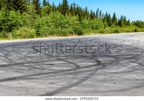 Many skid marks on a country road. They\
completely cover this part of the road, and appear random and\
circular in nature. Trees and blue sky\
visible.