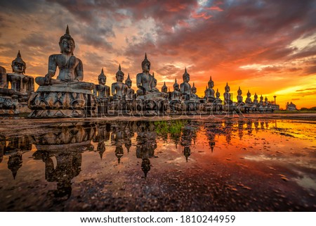 Many Statue buddha image at sunset in southen of Thailand