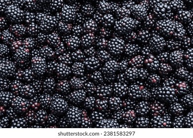 Many tasty ripe blackberries as background, closeup