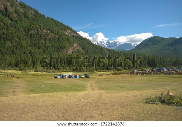 Many tents  In tourist spots,\
on mountains and pine forests. Altai, Russia.  tourist tents on\
mountain background.  summer camping. mountain peaks with\
snow.