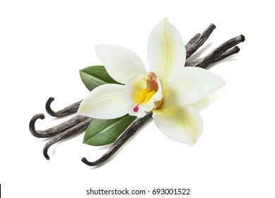 Many vanilla sticks, flower and leaves isolated on white background
