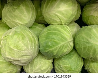 Many white cabbage heads on display at the supermarket. - Shutterstock ID 1701943339