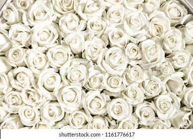 Many white roses are a top view. Vintage style.
