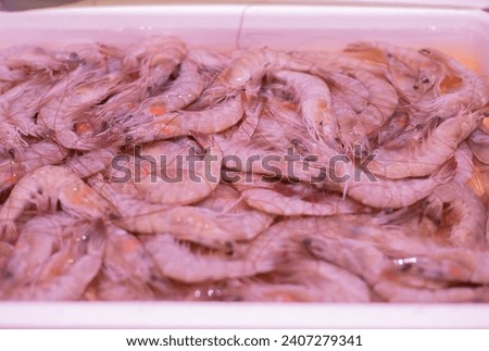 Many white shrimp for sale at the market