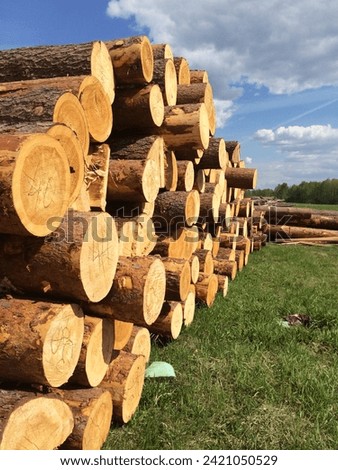 many whole logs against the background of grass and sky, logs, whole log, cut of a log, village, countryside, summer, walk, ecology, environmentally friendly material , blanks, sky, silhouette, life, 