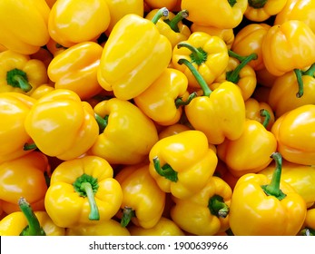 Many yellow organic bell pepper or capsicum in market for sale. Pile of sweet bell pepper background.